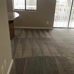 Carpet cleaning