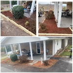 Tree Service Project