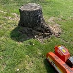 Tree Service Project