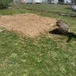 Tree Service Project