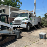 Tree Service