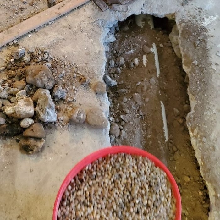 Additional Photos