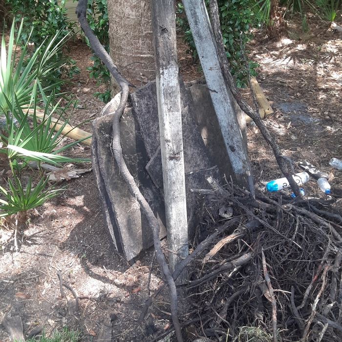 Additional Photos