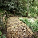 Steps down to the lake