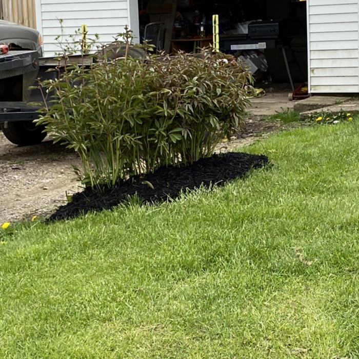 Additional Photos