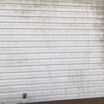 Massive Algae, Mold, and Mildew removal!