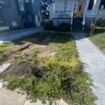 Lawn Irrigation Project (Alameda)