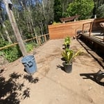 Artificial Grass Installation