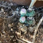 Lawn Irrigation Project