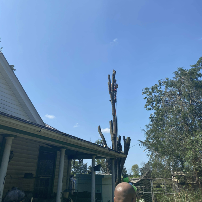 Additional Photos