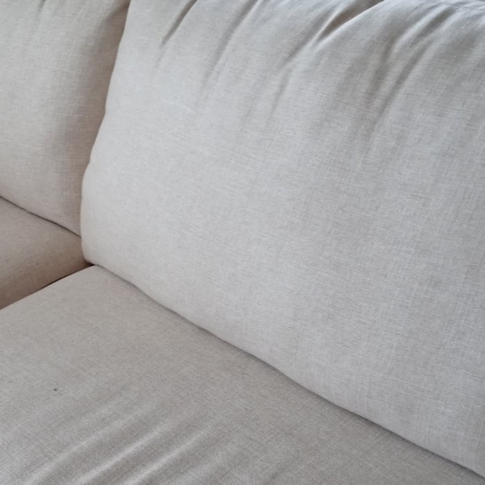 Dirty Living Couch