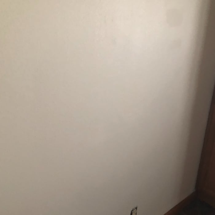 Interior paint