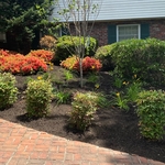 Landscape design