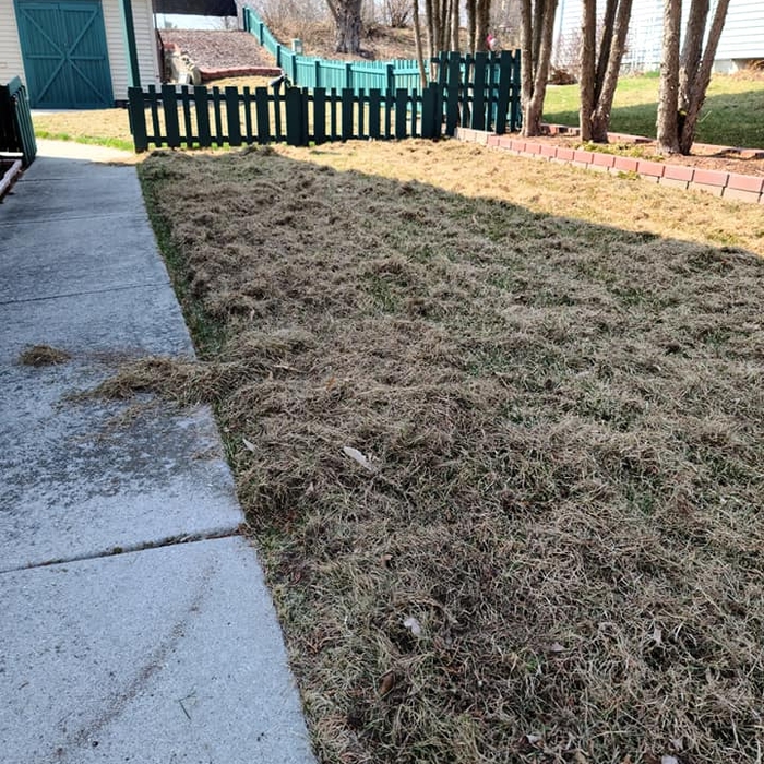 Additional Photos