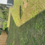 Leaf Removal Project