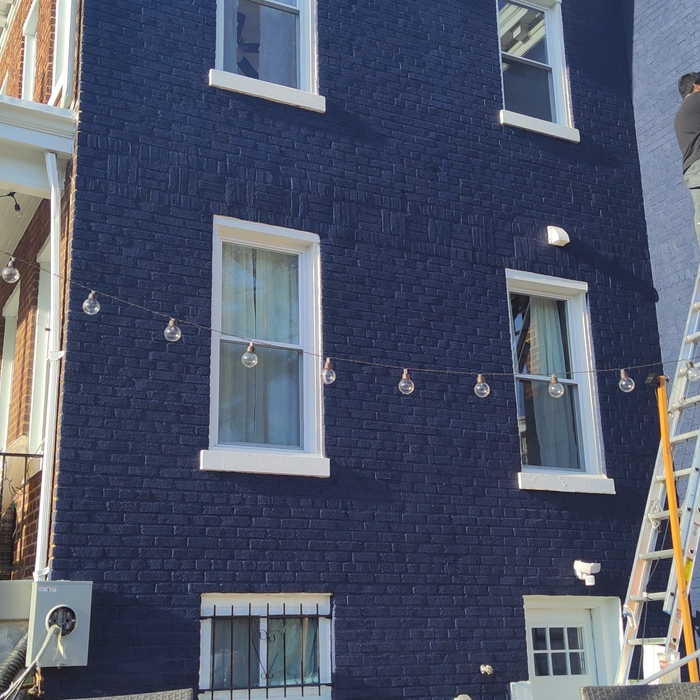 Exterior house painting