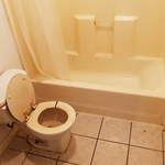 Category 3 Sewage Loss
