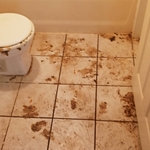 Category 3 Sewage Loss