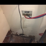 Laundry area with black mold