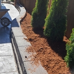 Concrete - Stamped & Decorative Project