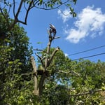 Project Photos