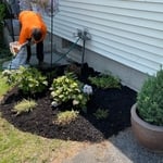 Spring planting
