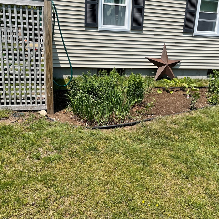 Spring planting