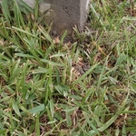 Foundation Repair Project