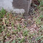 Foundation Repair Project