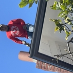 Gutter Repair & Replacement Project