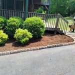 Landscaping Project
