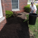 Bed edging and mulching