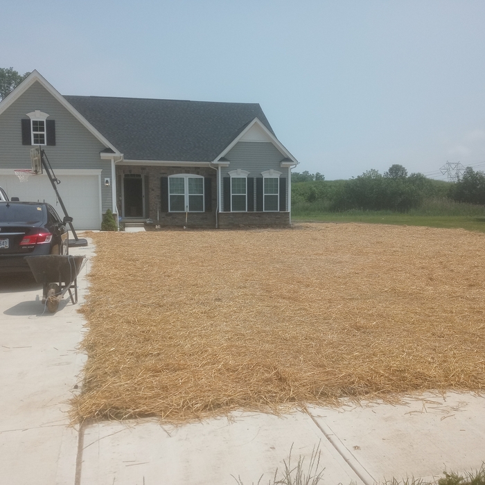 Yard and sprinkler installation