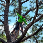 Climbing and securing branches with the ropes