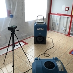 Mold Testing & Remediation Project
