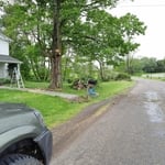 Tree Service job