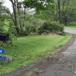 Tree Service job