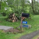 Tree Service job
