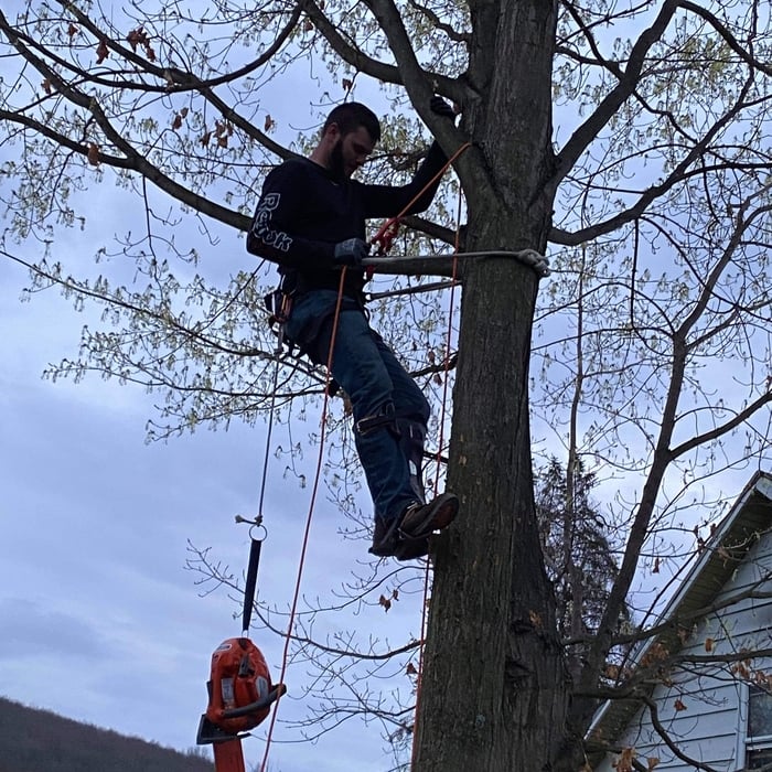 Additional Photos