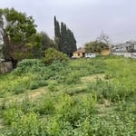 Landscaping Project