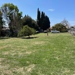 Landscaping Project