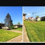 Removed Large Pine Tree next to home