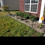Home Landscaping