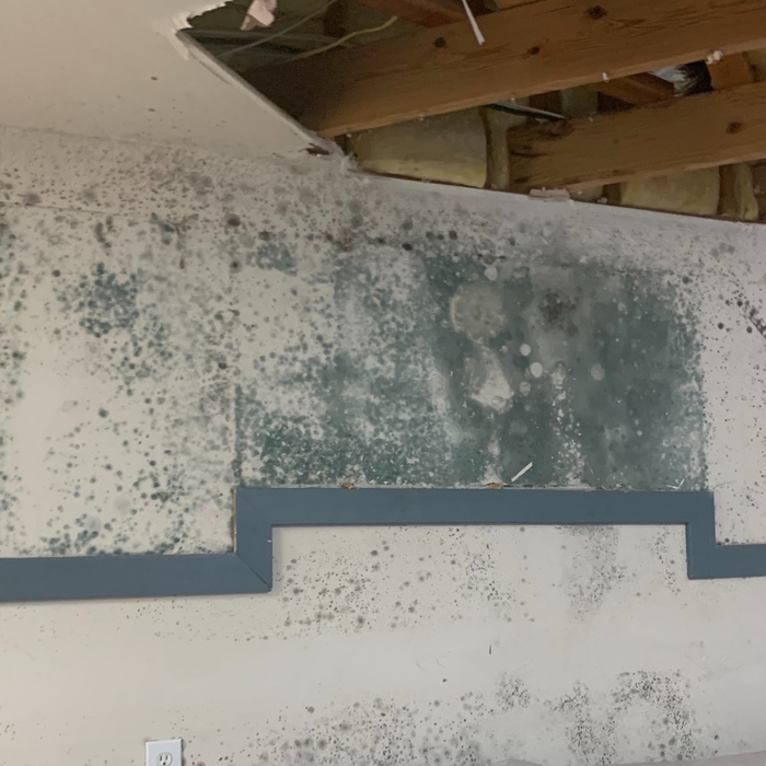 Another overhead pipe burst causing direct saturation of drywall within the vicinity. This wall origins housed cabinets but, as you can see, unfortunately mold seized the opportunity and began to run rampant. Thankfully, we were able to arrive in time to limit further exposure to areas deemed unaffected.