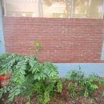 Masonry Project
