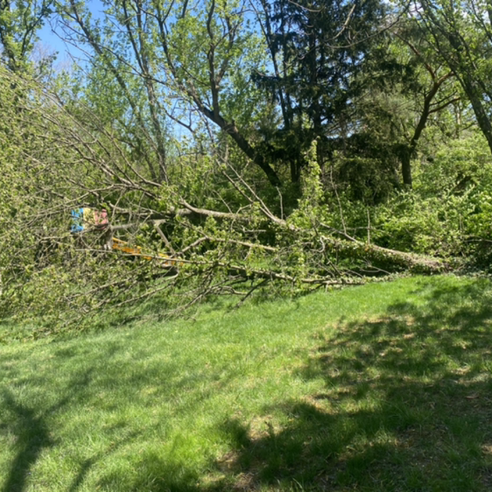Additional Photos
