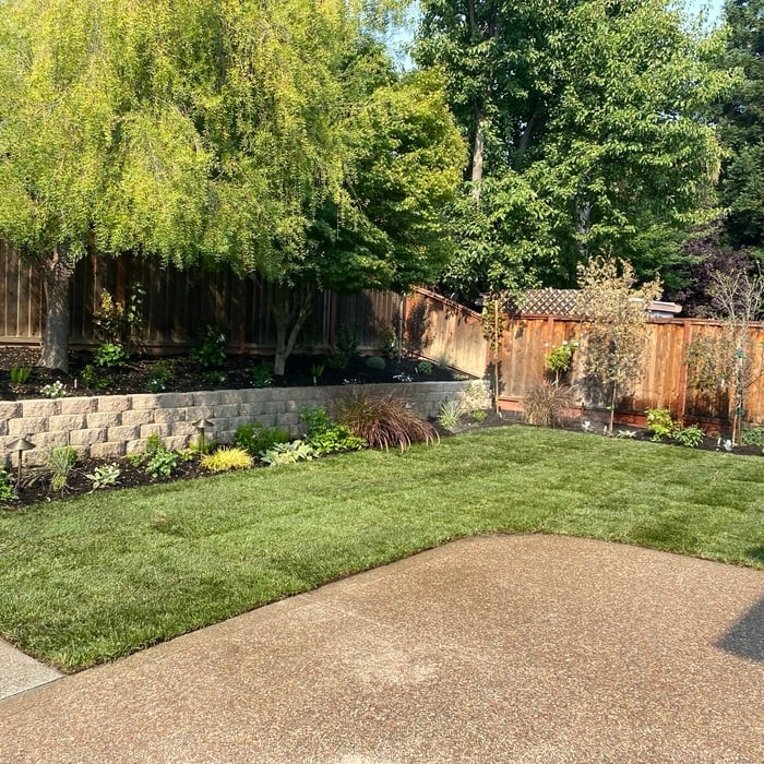 Landscaping - Hardscaping & Pavers Project