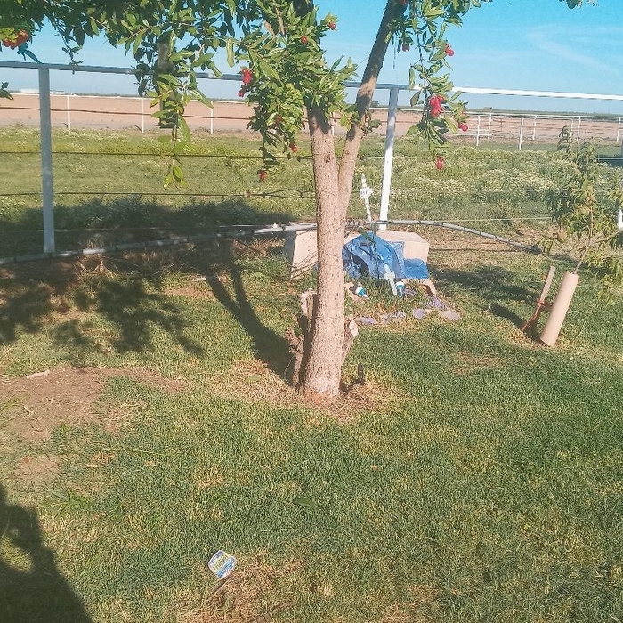 Additional Photos