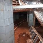 Mold removal and prevention