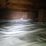 Mold remediation and prevention